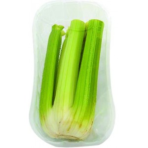 251067