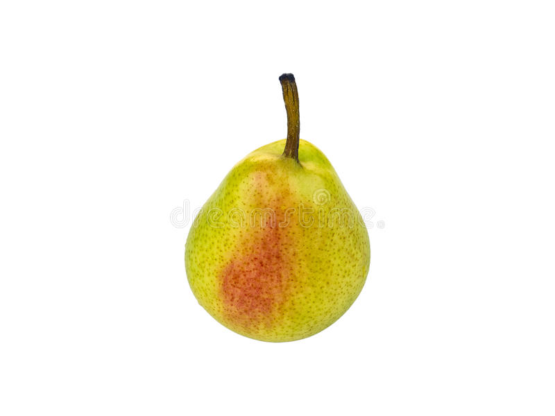 251104