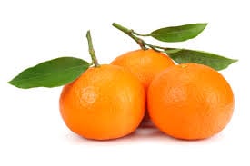 251151