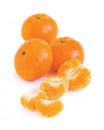 251199