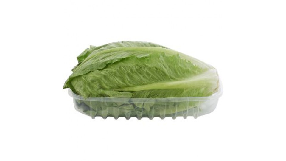 251299