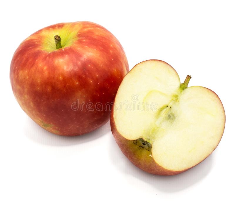251342