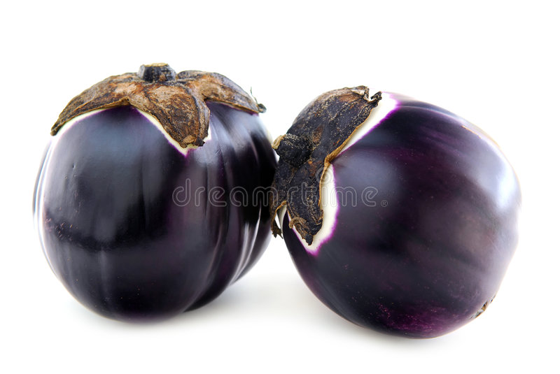 255051