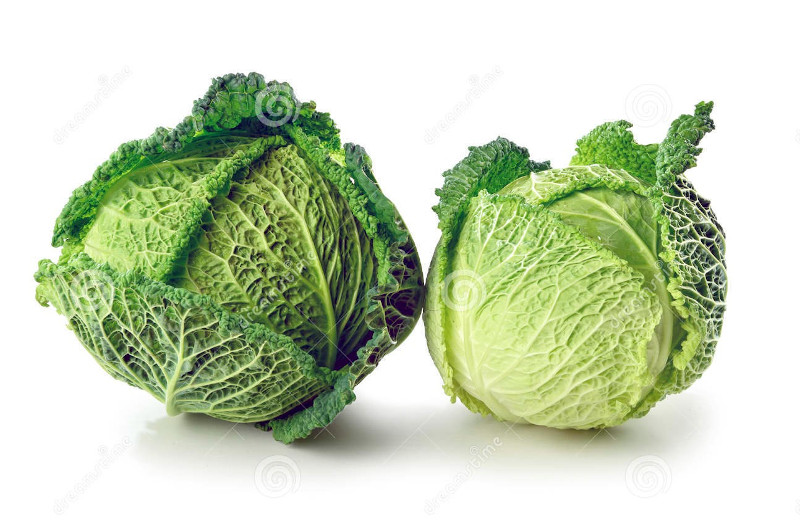 255059