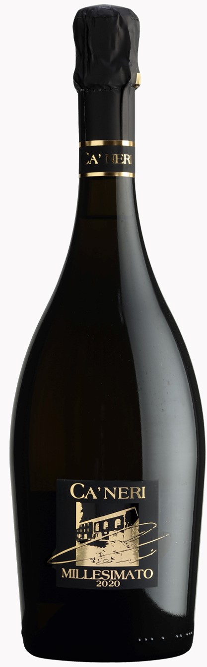 T050099